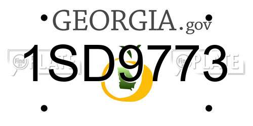 1SD9773 Georgia License Plate