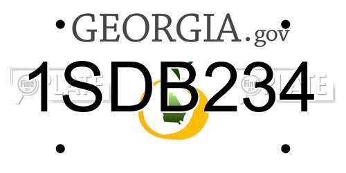 1SDB234 Georgia License Plate