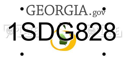 1SDG828 Georgia License Plate