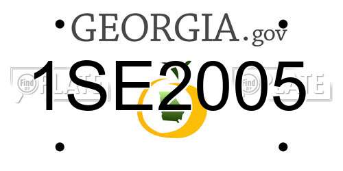 1SE2005 Georgia License Plate