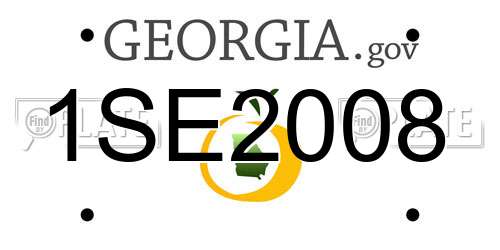 1SE2008 Georgia License Plate