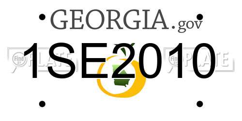 1SE2010 Georgia License Plate