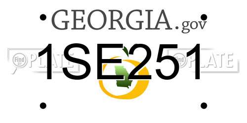 1SE251 Georgia License Plate
