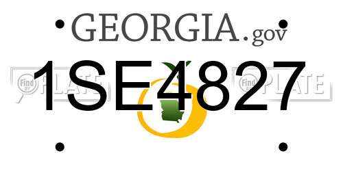 1SE4827 Georgia License Plate