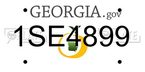 1SE4899 Georgia License Plate