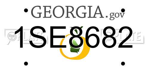 1SE8682 Georgia License Plate