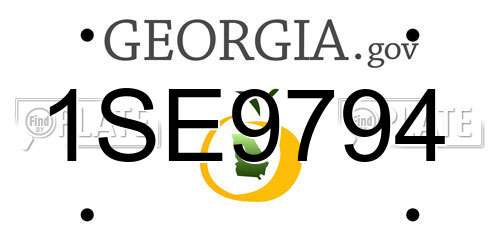 1SE9794 Georgia License Plate