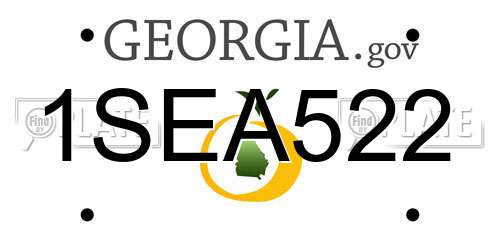 1SEA522 Georgia License Plate