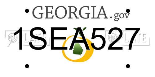 1SEA527 Georgia License Plate