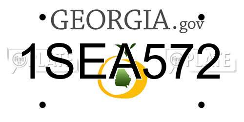 1SEA572 Georgia License Plate