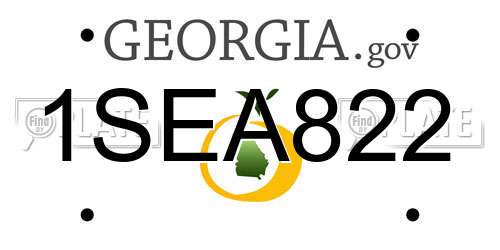 1SEA822 Georgia License Plate