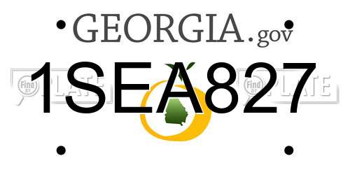 1SEA827 Georgia License Plate
