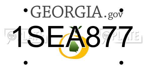 1SEA877 Georgia License Plate