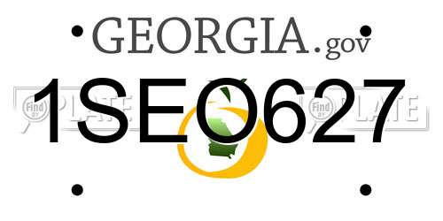 1SEO627 Georgia License Plate
