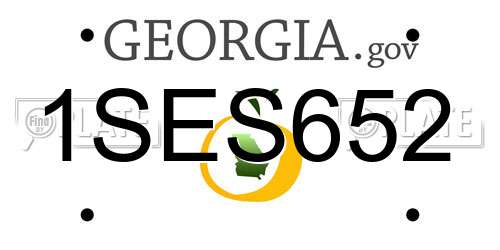 1SES652 Georgia License Plate