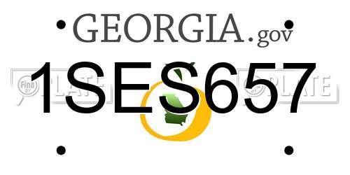 1SES657 Georgia License Plate