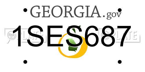 1SES687 Georgia License Plate