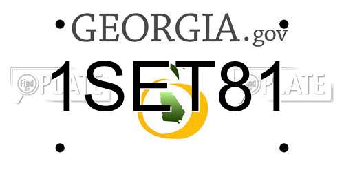1SET81 Georgia License Plate