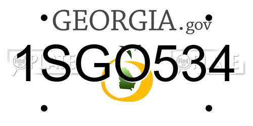 1SGO534 Georgia License Plate