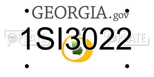 1SI3022 Georgia License Plate