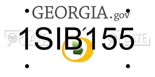 1SIB155 Georgia License Plate