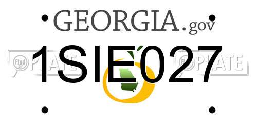 1SIE027 Georgia License Plate