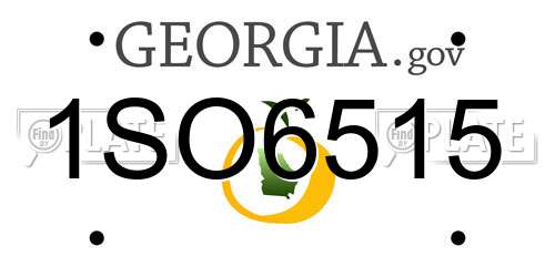 1SO6515 Georgia License Plate