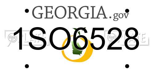 1SO6528 Georgia License Plate