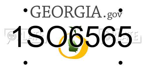 1SO6565 Georgia License Plate