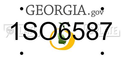 1SO6587 Georgia License Plate