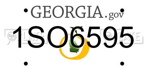 1SO6595 Georgia License Plate