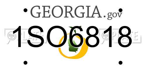 1SO6818 Georgia License Plate