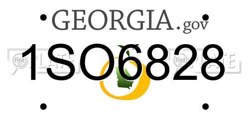 1SO6828 Georgia License Plate