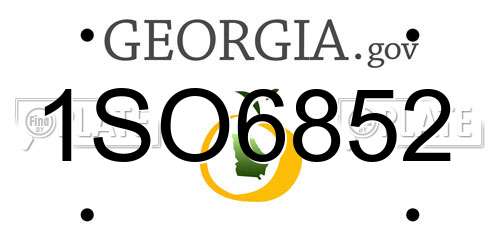 1SO6852 Georgia License Plate