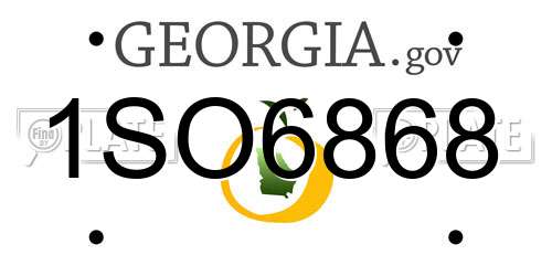 1SO6868 Georgia License Plate