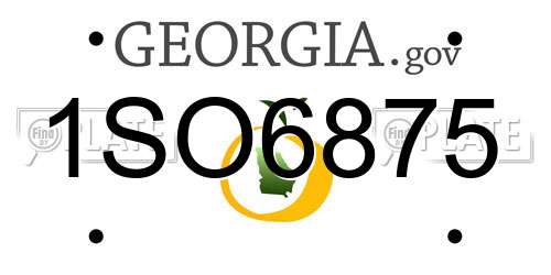 1SO6875 Georgia License Plate