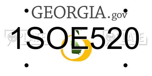 1SOE520 Georgia License Plate