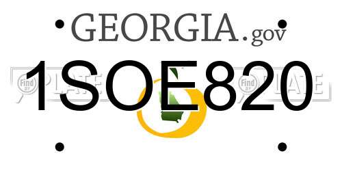 1SOE820 Georgia License Plate
