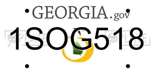 1SOG518 Georgia License Plate
