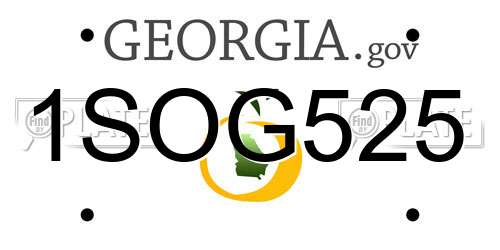 1SOG525 Georgia License Plate