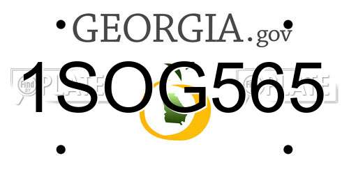 1SOG565 Georgia License Plate
