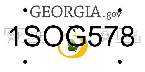 1SOG578 Georgia License Plate