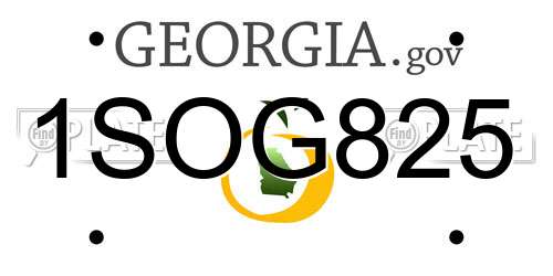 1SOG825 Georgia License Plate