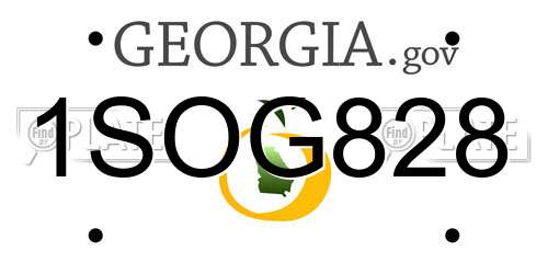 1SOG828 Georgia License Plate