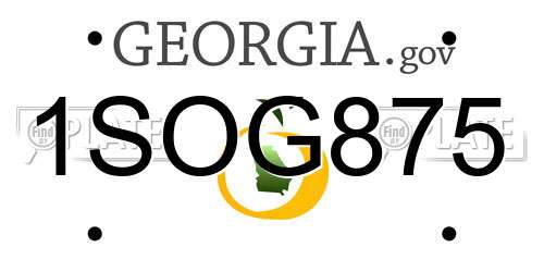 1SOG875 Georgia License Plate