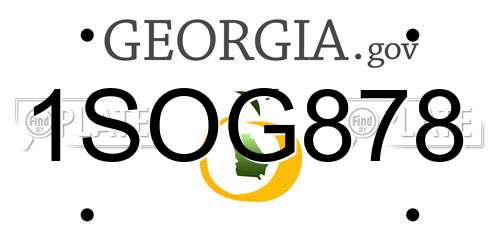 1SOG878 Georgia License Plate
