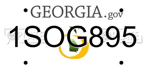 1SOG895 Georgia License Plate