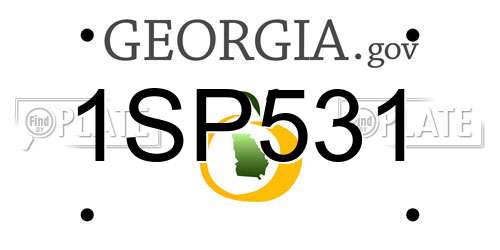 1SP531 Georgia License Plate