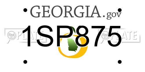 1SP875 Georgia License Plate