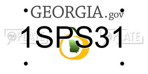 1SPS31 Georgia License Plate
